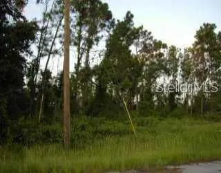 Douglas Road, North Port, FL 34288 - Image #2