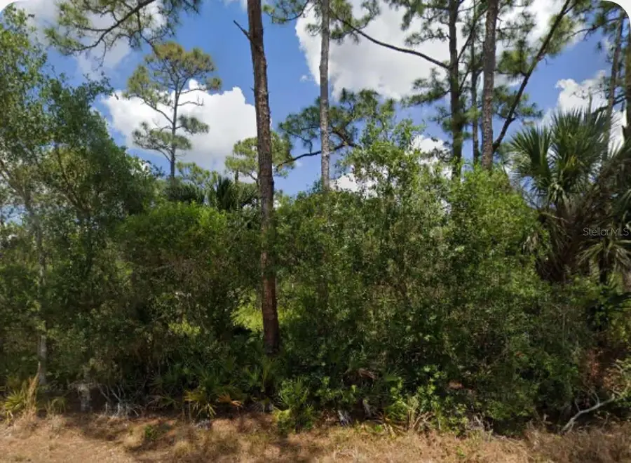 23267 Mcqueeney Avenue, Punta Gorda, FL 33980 - Image #2