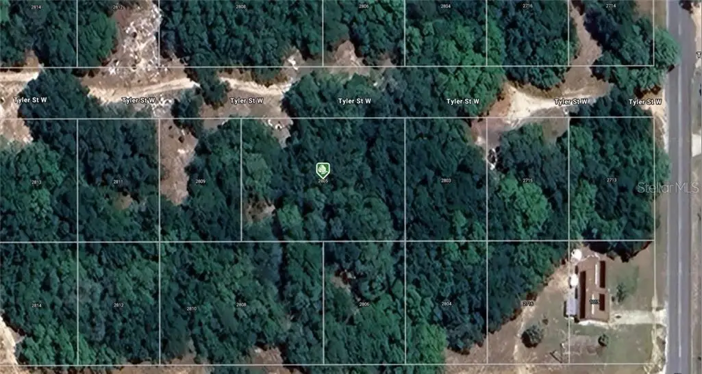 2805 Tyler Street W, Inverness, FL 34453 - Image #1