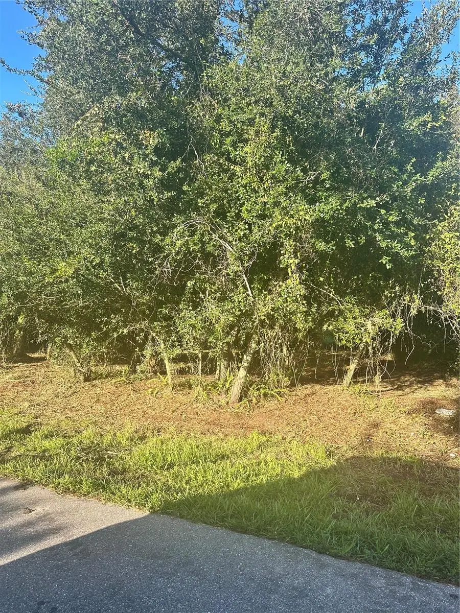 13 Sunflower Street, Punta Gorda, FL 33982 - Image #1