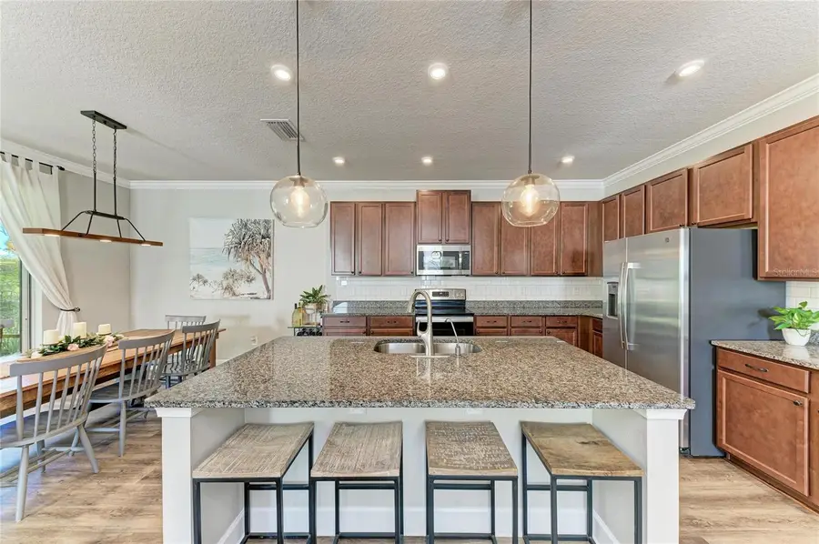 8523 Rain Lily Crossing, Parrish, FL 34219 - Image #2