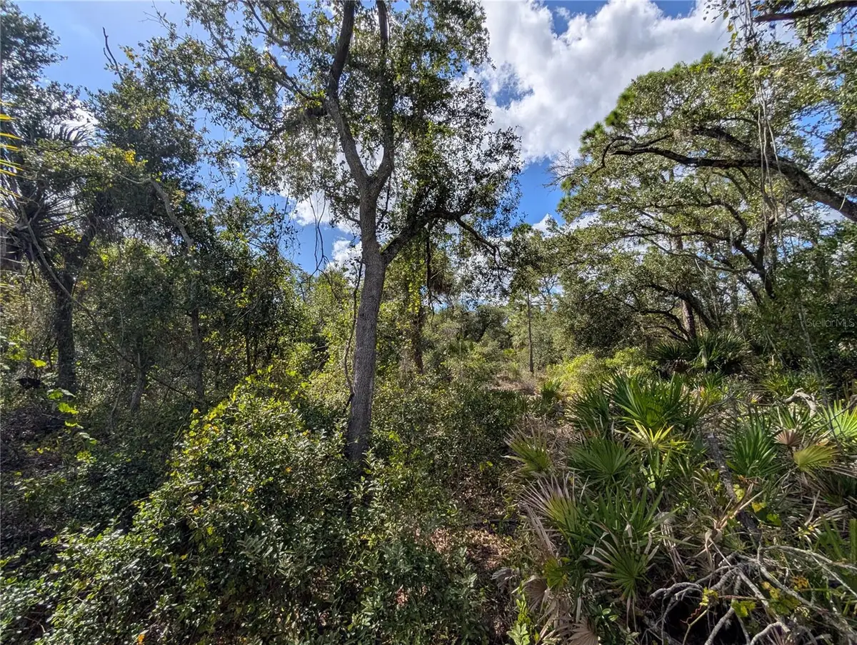 181 Juper Street, Port Charlotte, FL 33953 - Image #1