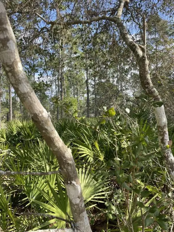 32 Fyfe Avenue, Debary, FL 32713 - Image #3