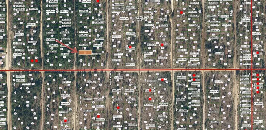 Lot 36 Paxon, Interlachen, FL 32148 - Image #2