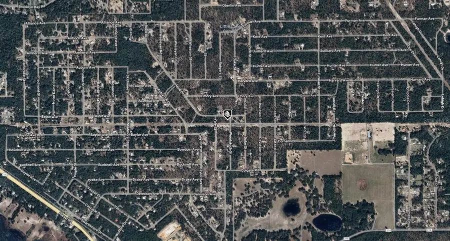 7232 Woodstock Street, Keystone Heights, FL 32656 - Image #3