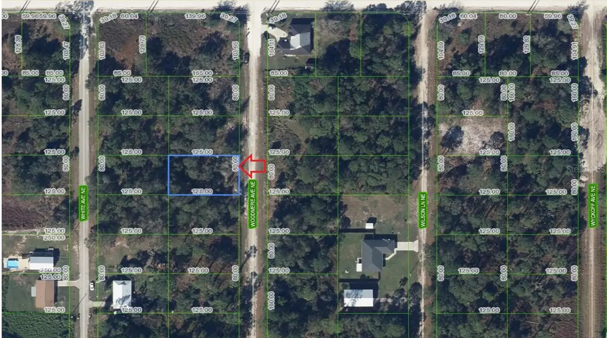 107 Woodmere Avenue Ne, Lake Placid, FL 33852 - Image #1