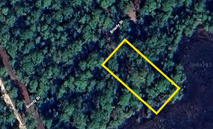 105 Brierly Street, Georgetown, FL 32139 - Image #1