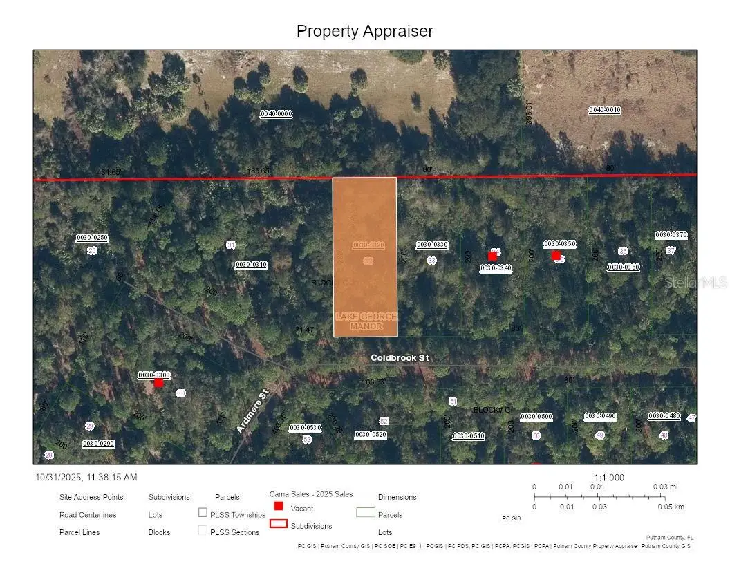 120 Coldbrook Street, Georgetown, FL 32139 - #1