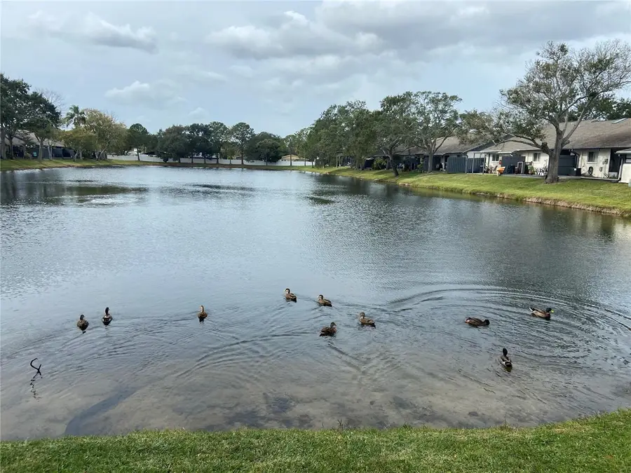 3888 El Camino Court, Largo, FL 33771 - Image #2