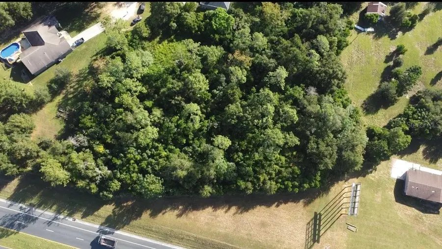 00 Hamrich Drive, Dade City, FL 33525 - Image #3