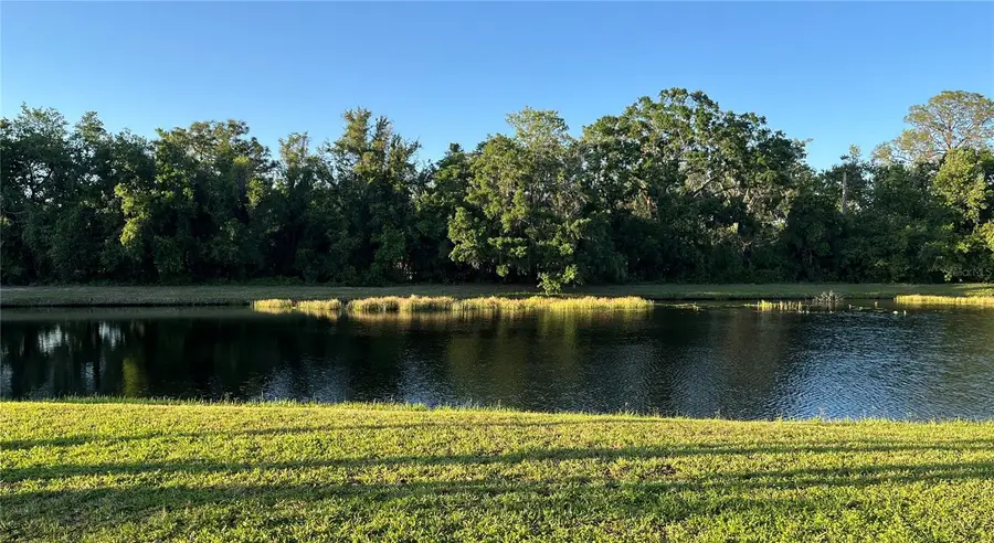 15207 17th Avenue E, Bradenton, FL 34212 - Image #3