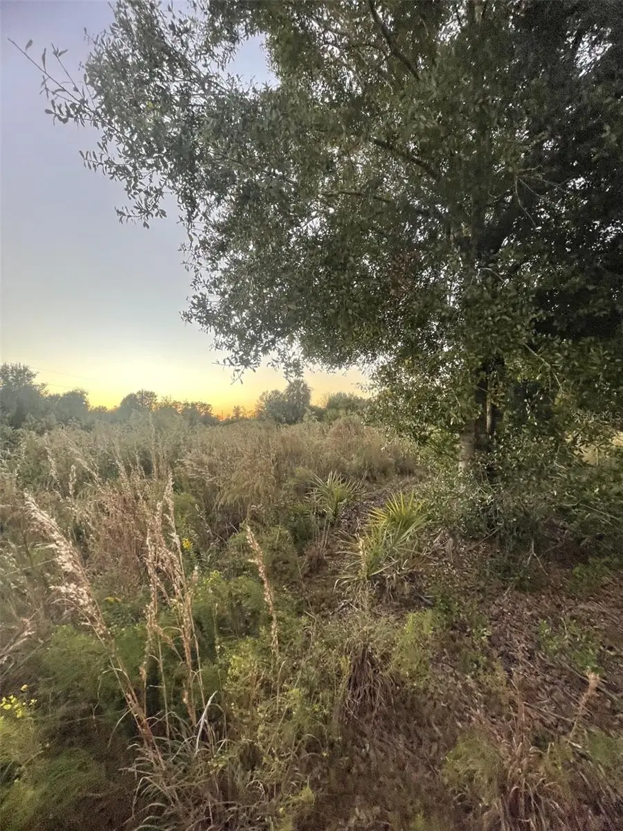 20581 NW 262nd Street, Okeechobee, FL 34972 - Image #2