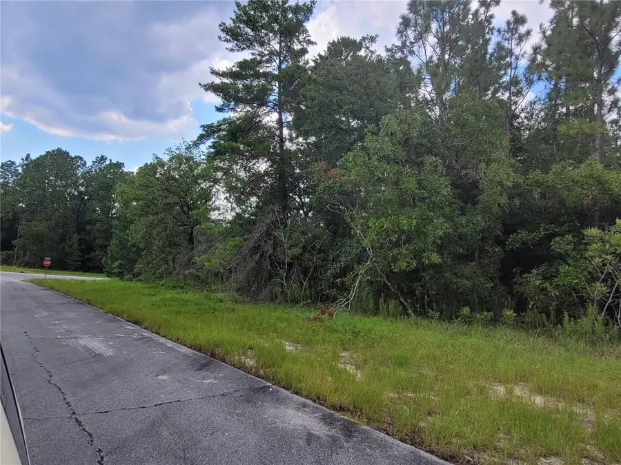 SW 135 Street, Ocala, FL 34473 - Image #2