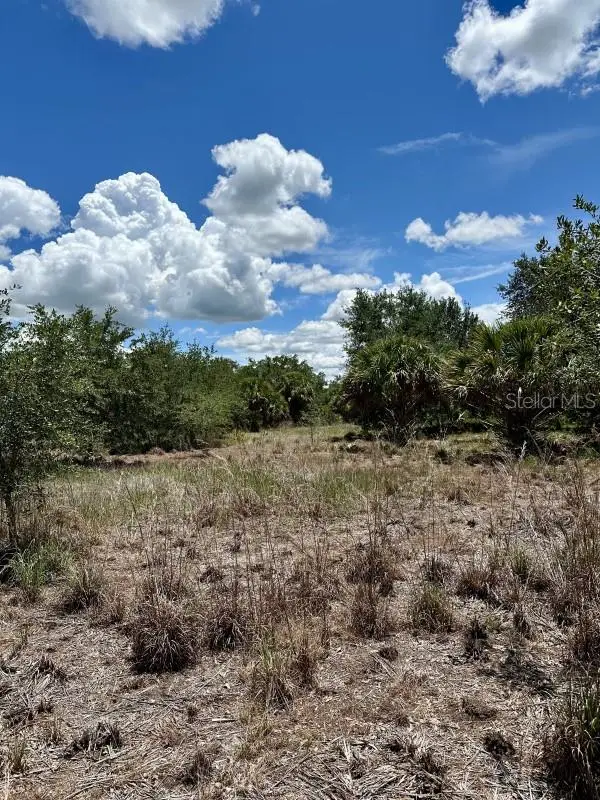 1701 Cabbage Wood Road, Okeechobee, FL 34974 - #2