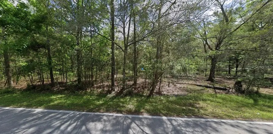 8061 Quail Hollow Boulevard, Wesley Chapel, FL 33544 - Image #2