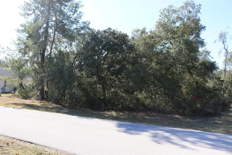 TBD Marion Oaks Golf Road, Ocala, FL 34473 - Image #3