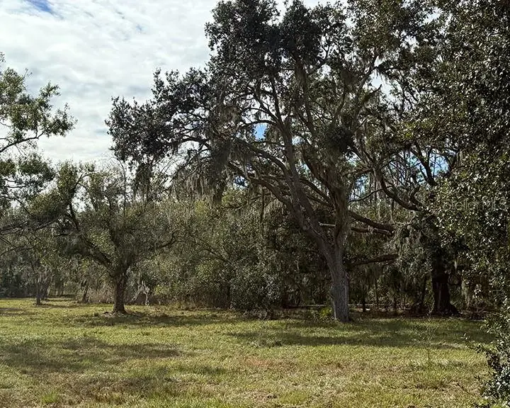 Sr-70 E, Myakka City, FL 34251 - Image #2