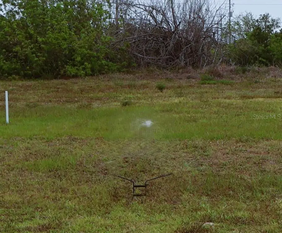 1321 SW 21st Avenue, Cape Coral, FL 33991 - Image #1