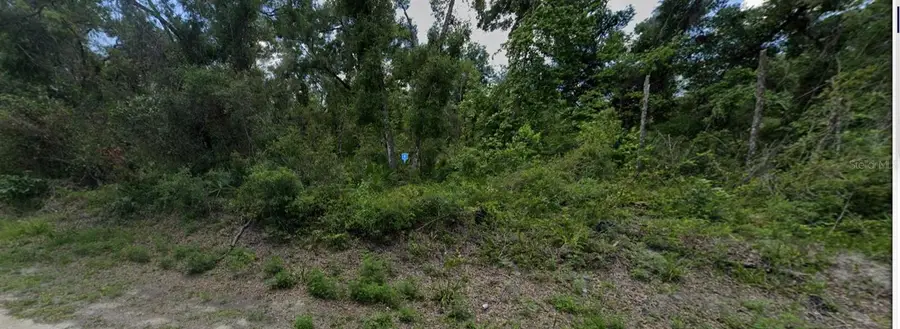 7200 Southeast Avenue, Webster, FL 33597 - Image #2