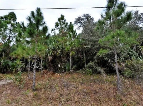 Derrick Street, NORTH PORT, FL 34288