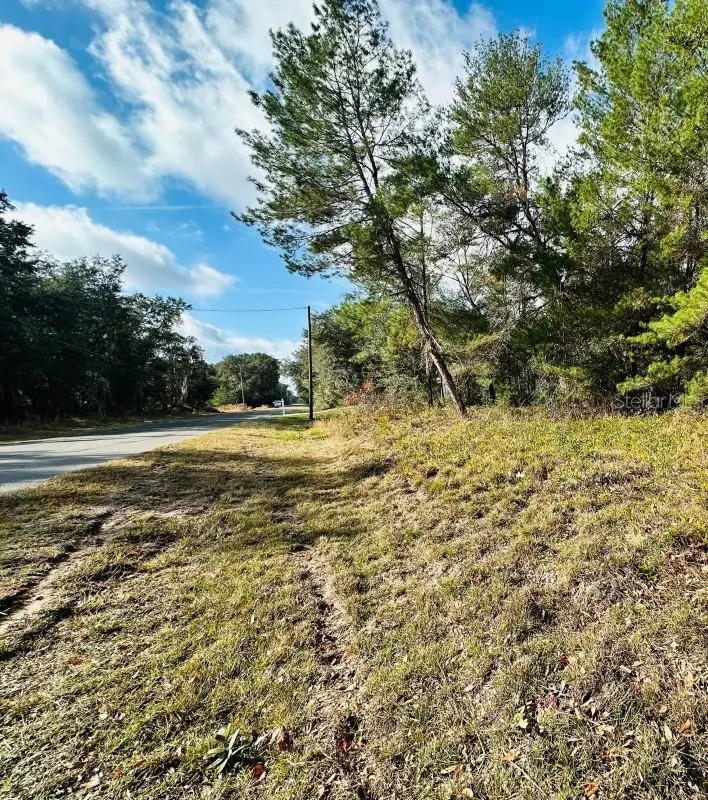 SE 141st Avenue, Ocklawaha, FL 32179 - Image #2