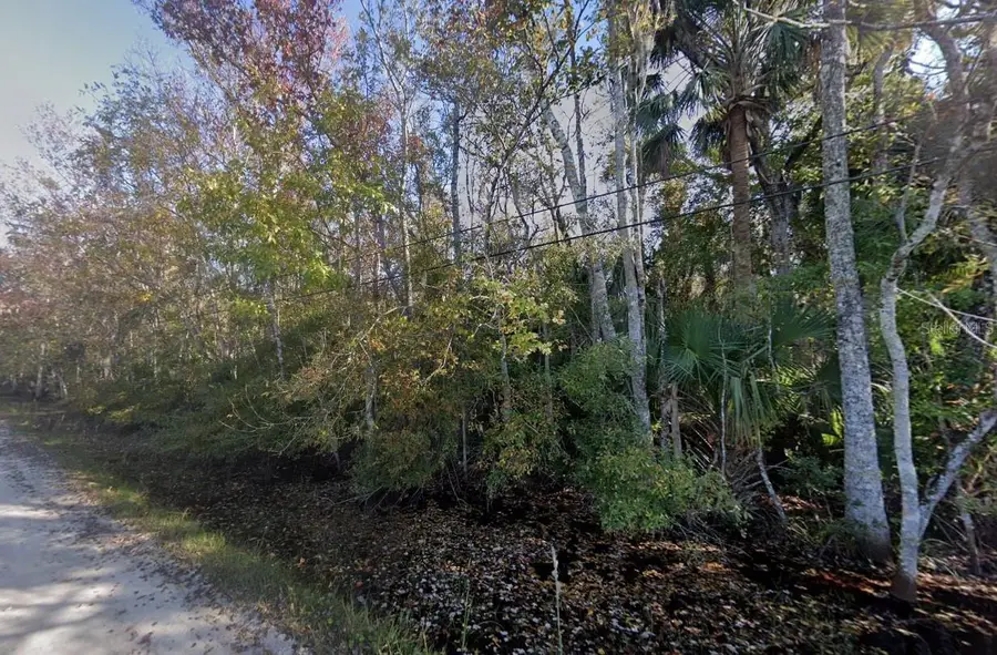 3034 Ragis Road, Edgewater, FL 32132 - Image #2