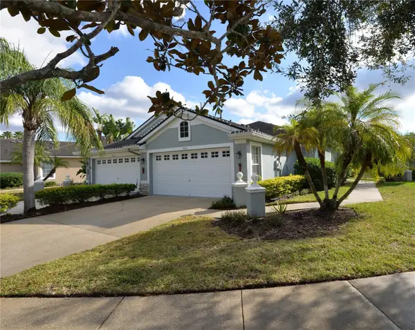 9856 Gingerwood Drive, TAMPA, FL 33626