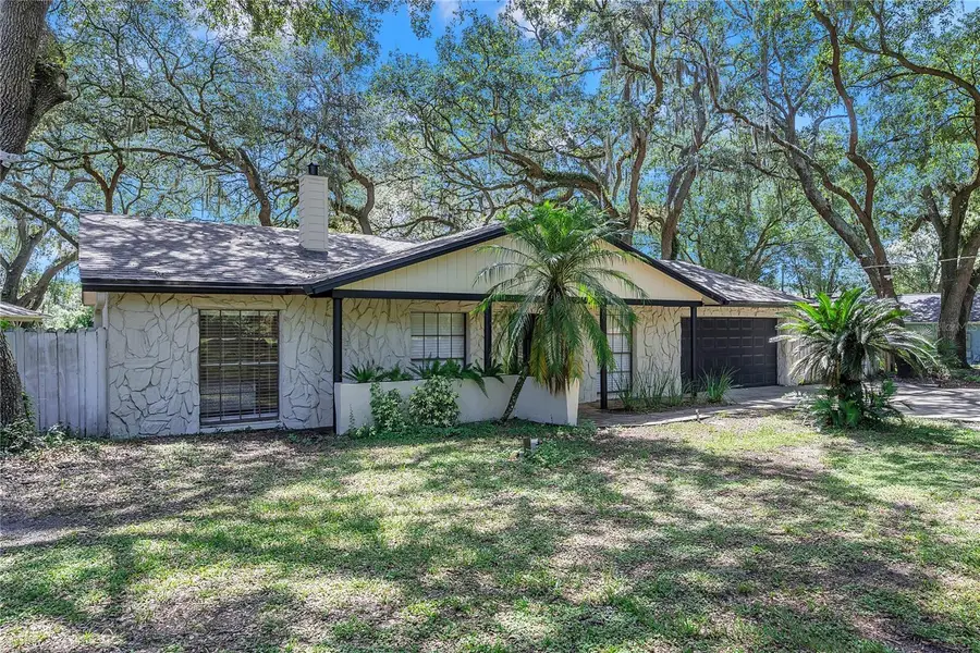 7405 Williams Road, Seffner, FL 33584 - Image #3