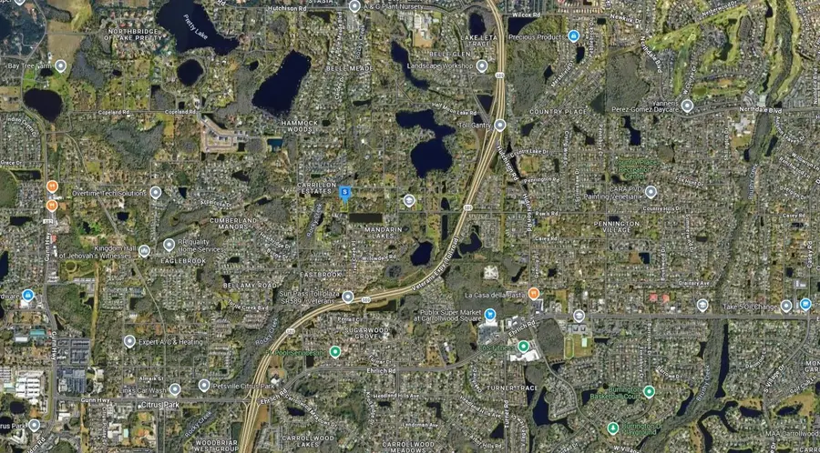 5958 Whippoorwill Drive, Tampa, FL 33625 - Image #3