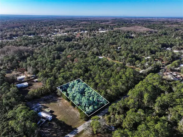 W Rosedale Drive, HOMOSASSA, FL 34448