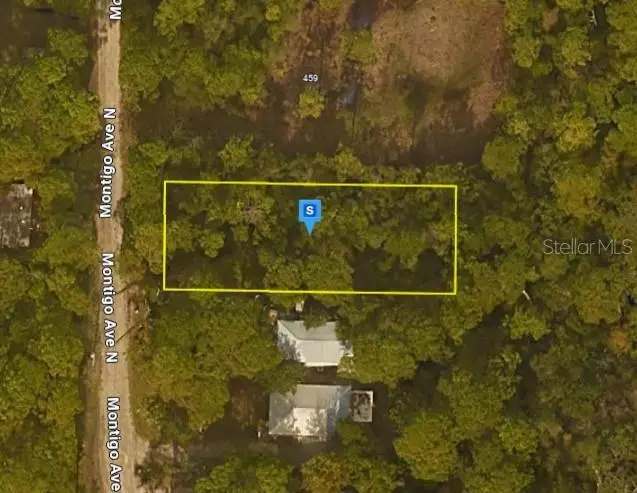 401 N Montigo Avenue, Santa Rosa Beach, FL 32459 - Image #1