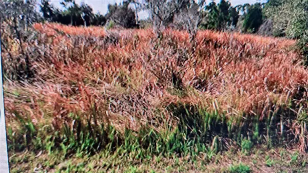 Jaylene Road, NORTH PORT, FL 34288