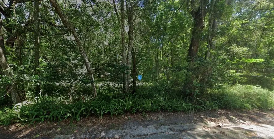 101 SW 6th Street, Micanopy, FL 32667 - Image #2