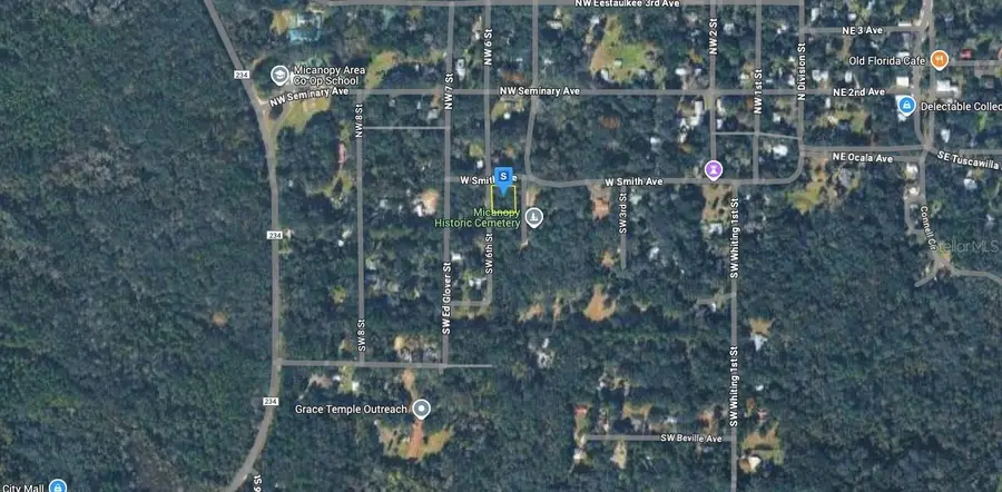 101 SW 6th Street, Micanopy, FL 32667 - Image #3