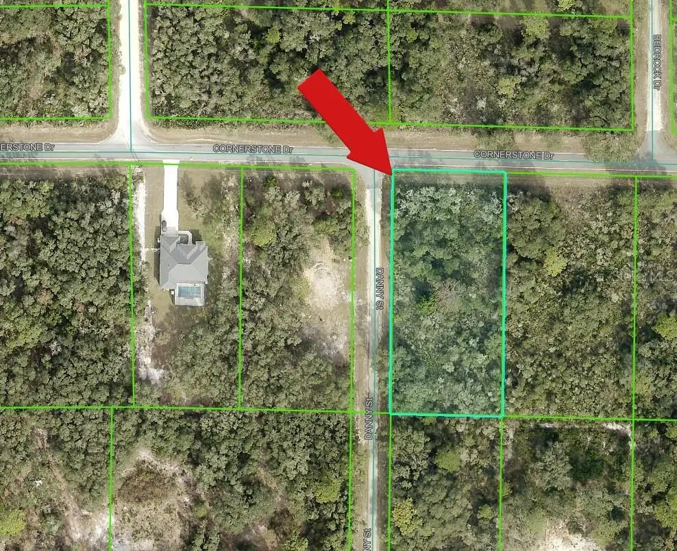 35106 Cornerstone Drive, Webster, FL 33597 - #1