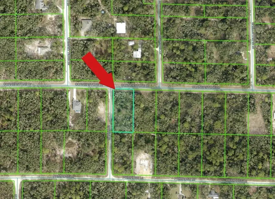 35106 Cornerstone Drive, Webster, FL 33597 - #2