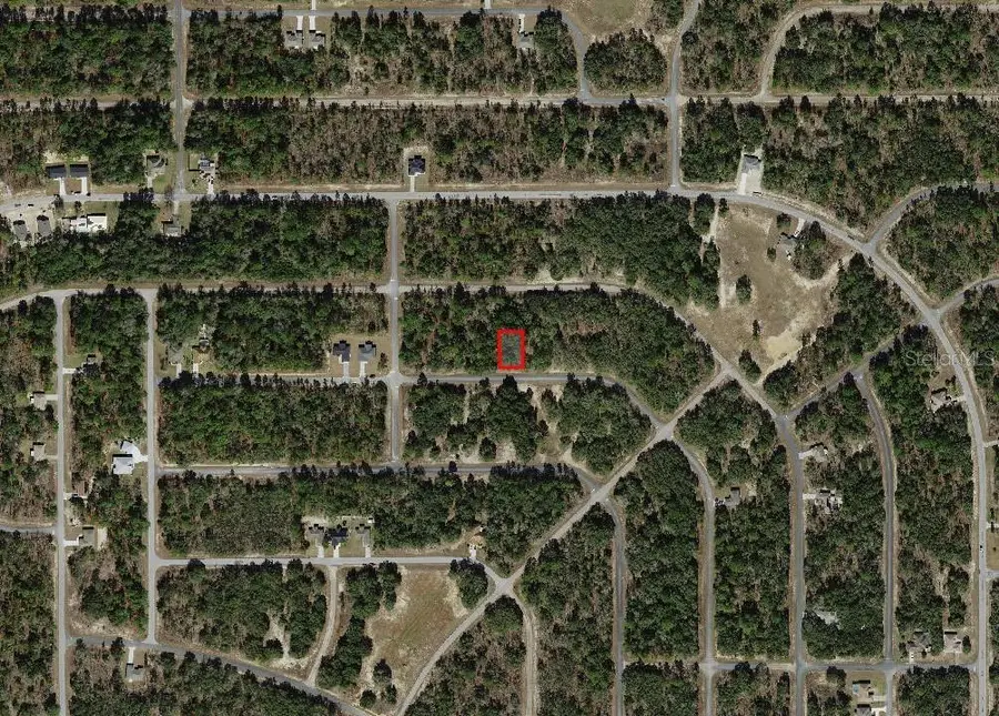 1451 W Dolores Drive, Citrus Springs, FL 34434 - Image #3