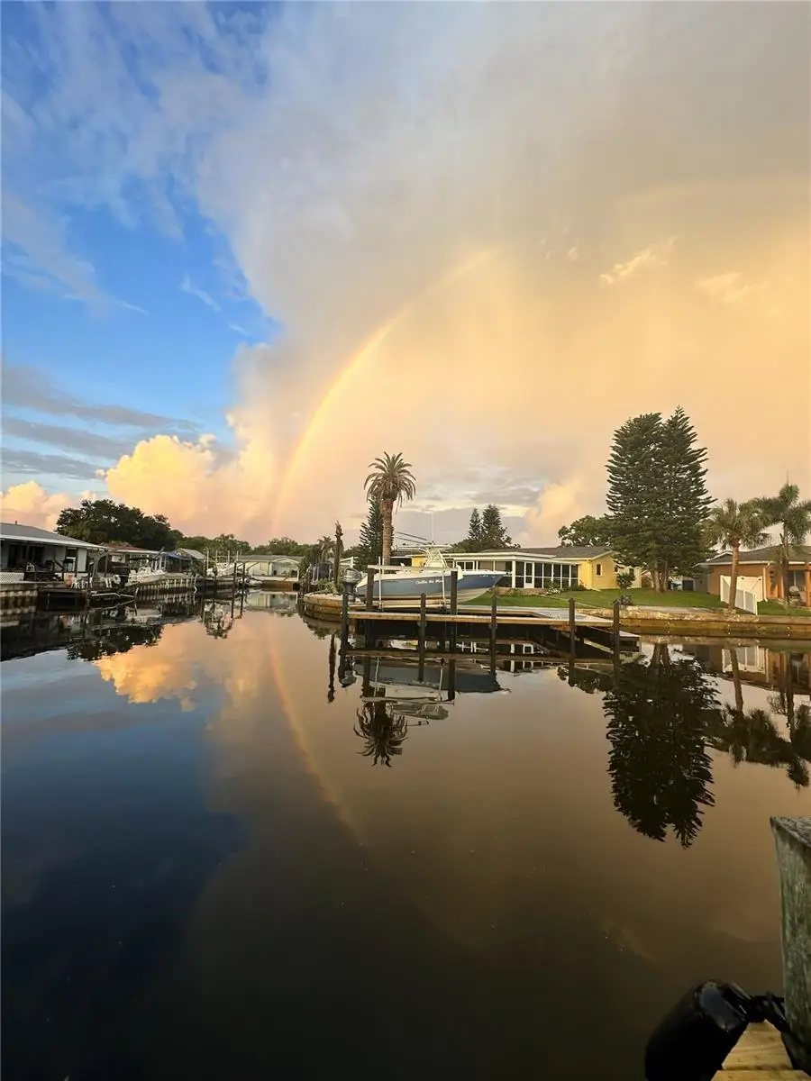 303 Morningside Drive, Palm Harbor, FL 34683 - Image #3