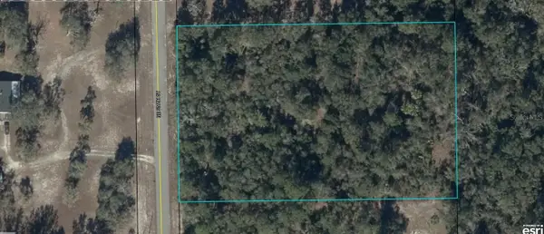 NE 576th Street, OLD TOWN, FL 32680