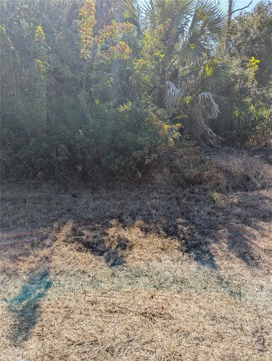 Lots 1,2&3 De Leon Drive, North Port, FL 34287 - #3