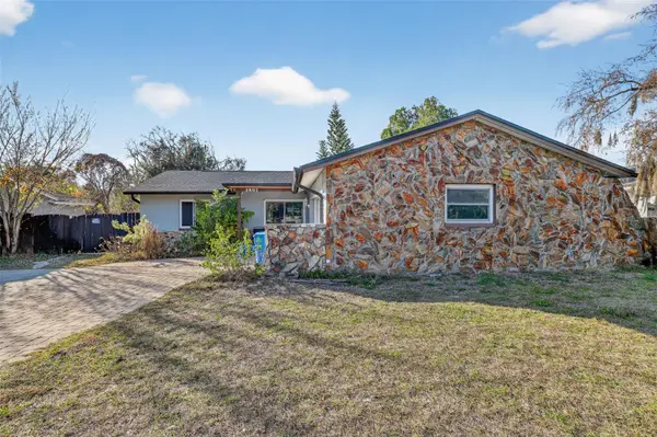 3801 Southview Drive, BRANDON, FL 33511