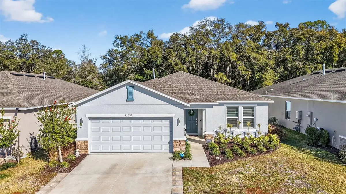 33692 Sky Blossom Circle, Leesburg, FL 34788 - Image #1