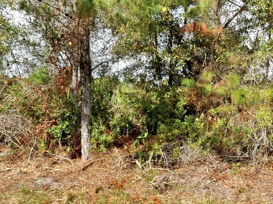 Ohio Road, North Port, FL 34291 - Image #2