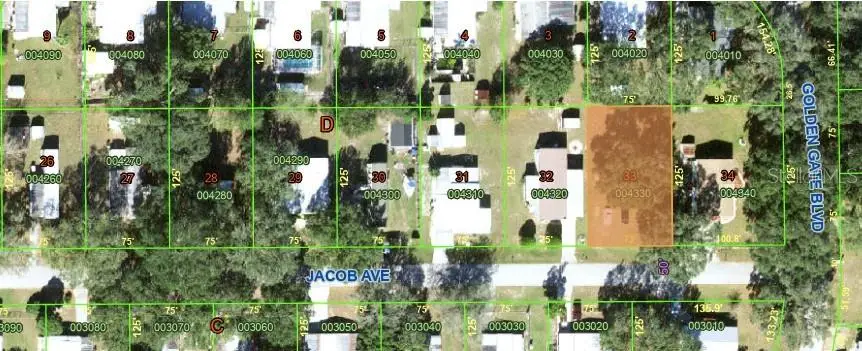 5534 Jacob Avenue, Polk City, FL 33868 - Image #3