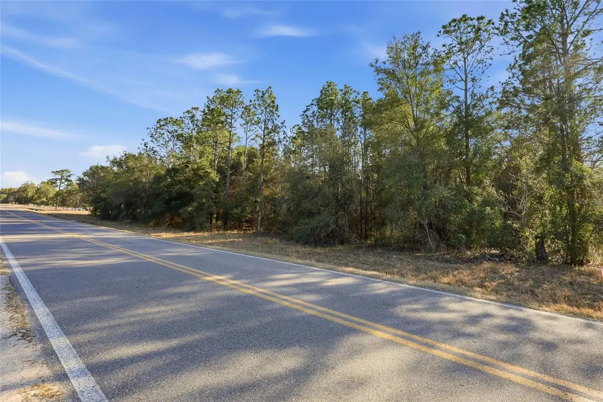 Gas Line Road, Keystone Heights, FL 32656 - #1