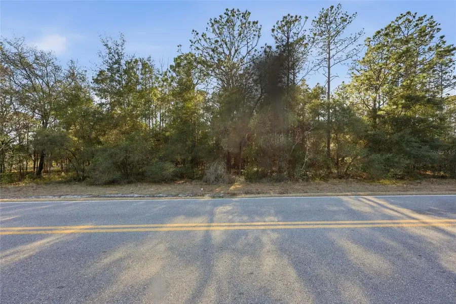 Gas Line Road, Keystone Heights, FL 32656 - #2