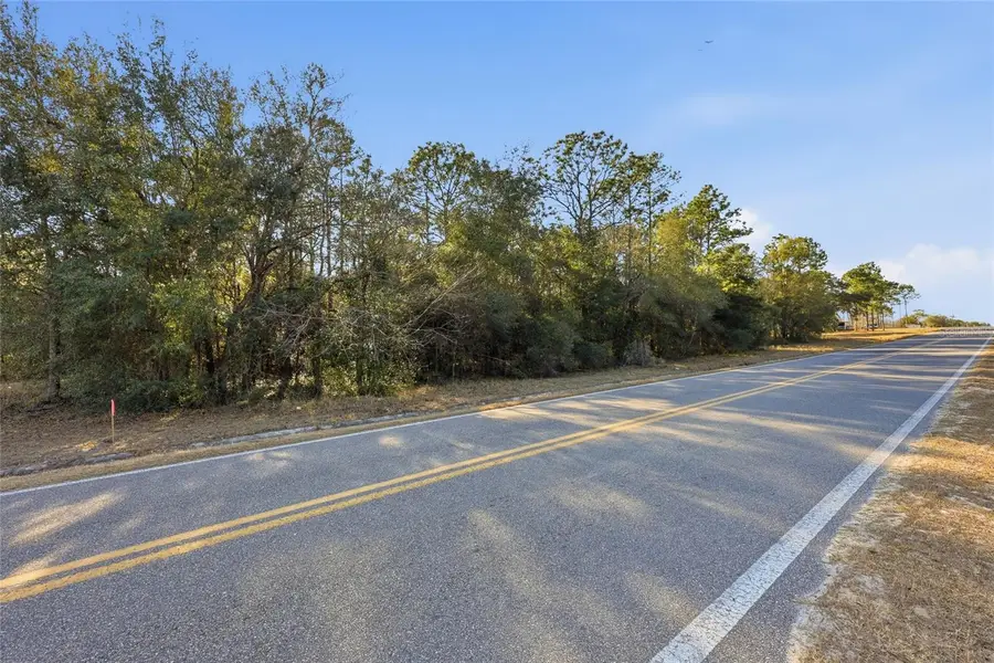 Gas Line Road, Keystone Heights, FL 32656 - #3
