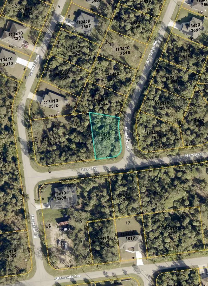 Blueberry Road, North Port, FL 34288 - #2