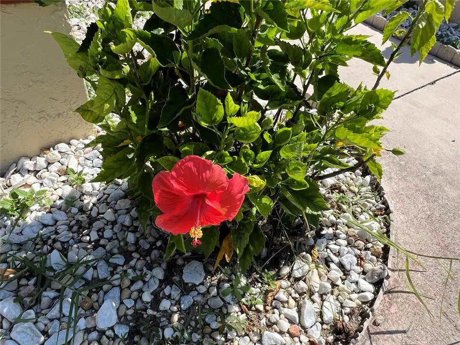 19358 Edgewater Drive, Port Charlotte, FL 33948 - Image #3