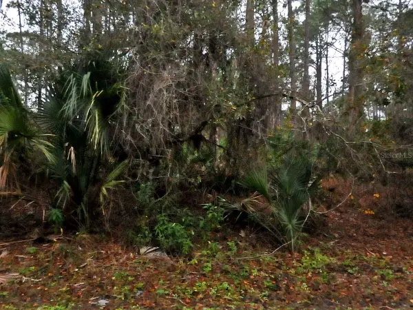 Neon Avenue, NORTH PORT, FL 34291